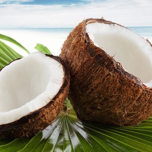 Caribbean Cooking Experience in Dominica Caribbean Cooking Experience in Dominica