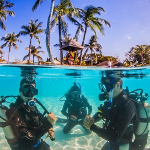 St.Lucia Coral Adventure St.Lucia Coral Adventure