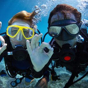 Diving Diving